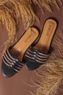 Debellee Elegant Cosmos Flats